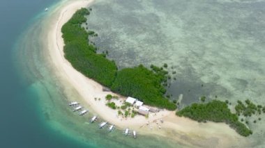 Kumlu bir plajı ve mercan resifleriyle çevrili gök mavisi suyu olan bir ada. Honda Bay 'de. Palawan, Filipinler.