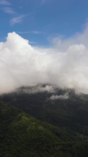 영원한 식물과 슬로프의 스리랑카의 — 비디오