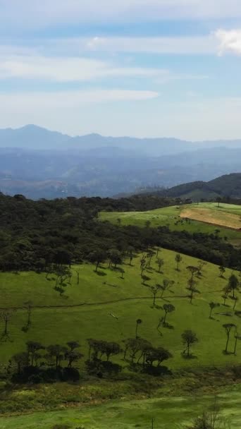 田舎の丘の間の緑の牧草地や牧草地 Ambewea ヌワラ エリヤ スリランカ — ストック動画