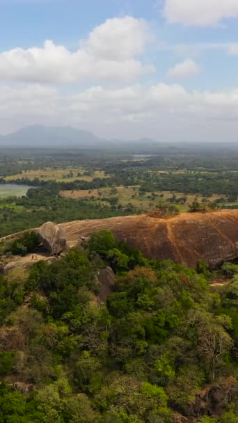 Vista Aérea Rocha Pidurangala Perto Dambulla Sri Lanka Floresta Tropical — Vídeo de Stock