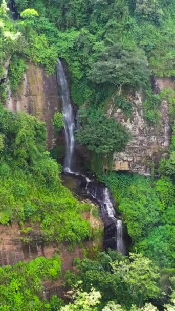 Aerial View Waterfall Rainforest Jungle — 비디오