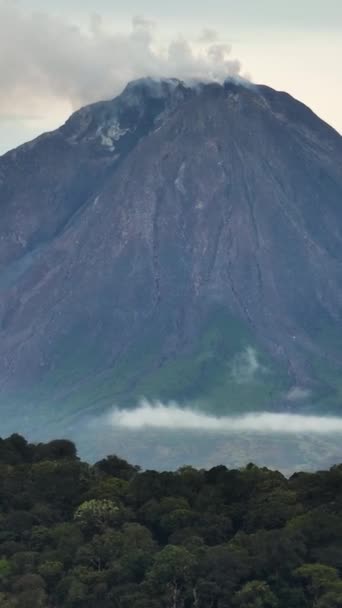 Bergen Met Tropisch Bos Mount Sinabung Sumatra Indonesië — Stockvideo