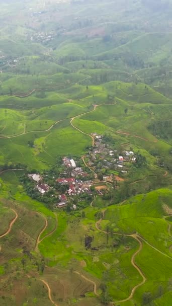 Aerial Drone Tea Estate Sri Lanka High Mountain Tea Plantation — Stockvideo