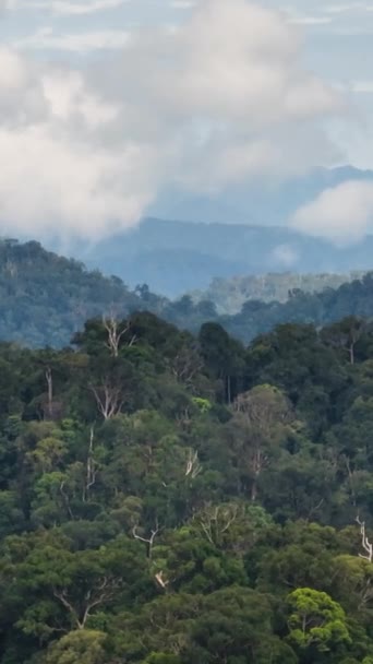 Hegyi Lejtők Esőerdőkkel Dzsungellel Borítva Szumátra Indonézia — Stock videók