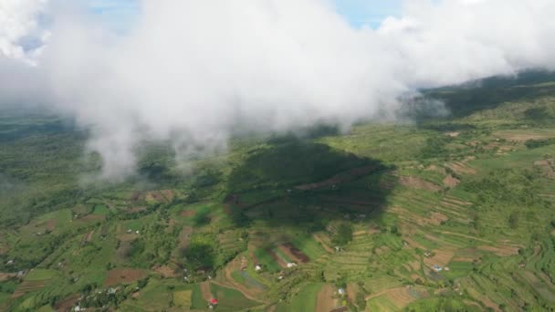 山谷在山中 有农田和农田 Negros 菲律宾 — 图库视频影像