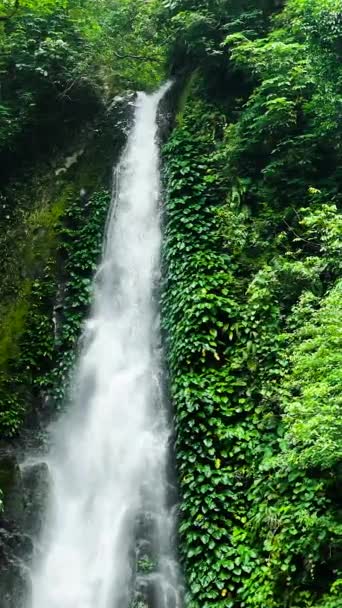 ジャングルでの滝の空中観察 スローモーション パラン チュービッグ滝 ネグロス フィリピン — ストック動画