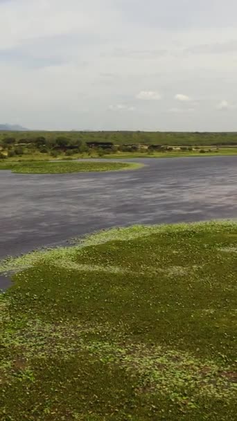 Aerial View Wetlands Lakes Tropical Vegetation Natural Habitat Animals Sri — Video Stock