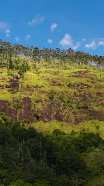 Mountain Slopes Covered Rainforest Jungle View Sri Lanka — Stockvideo