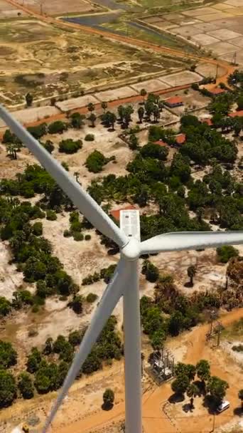 海岸線の風力タービンの空中ドローン 風力発電所について ジャフナ スリランカ — ストック動画