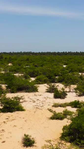 Vista Superior Del Paisaje Del Desierto Con Vegetación Arbustos Manalkaadu — Vídeos de Stock