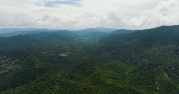 Tropische Landschaft Mit Blick Auf Berge Und Dschungel Von Oben — Stockvideo