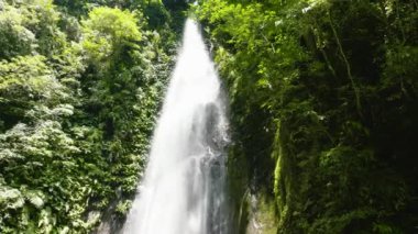 Pulang Tubig Şelalesi tropikal ormandaki bir dağ geçidinde. Tropikal ormanda şelale. Zenciler, Filipinler.