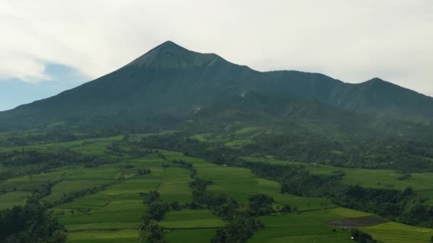 坎伦火山脚下的农业种植园和农田俯瞰全景 Negros 菲律宾 — 图库视频影像