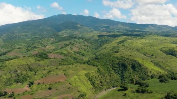 山区有庄稼的农场 菲律宾 — 图库视频影像