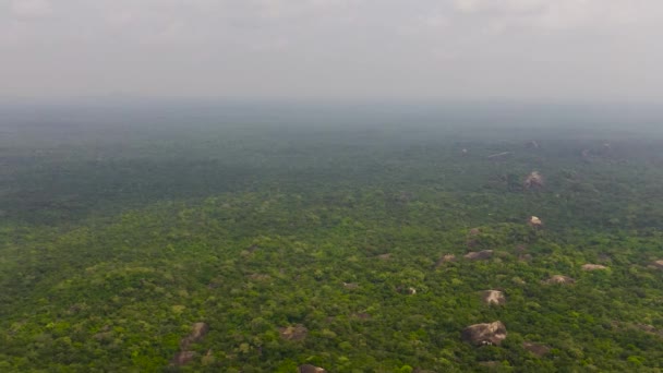 Bovenaanzicht Van Groen Regenwoud Jungle Sri Lanka — Stockvideo
