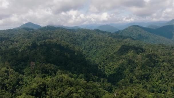 Вид Воздуха Горы Покрывал Тропические Леса Деревья Голубое Небо Облаками — стоковое видео