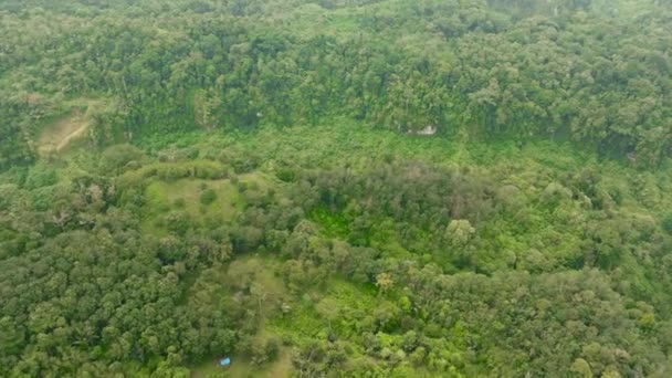 Sumatra Endonezya Yağmur Ormanları Ormanlar Tropikal Manzara — Stok video