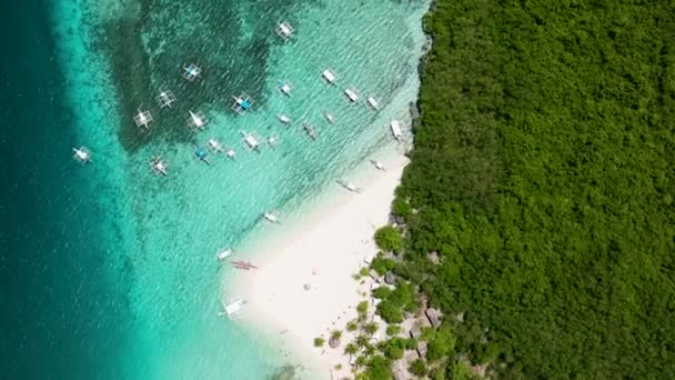 Tropikal Adanın Hava Aracı Denizde Kumlu Bir Sahil Virgin Adası — Stok video