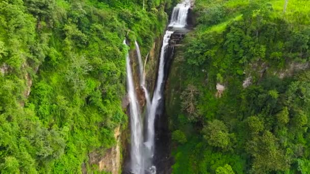 雨林和丛林里的瀑布热带普纳艾拉瀑布在高山丛林中 斯里兰卡 — 图库视频影像