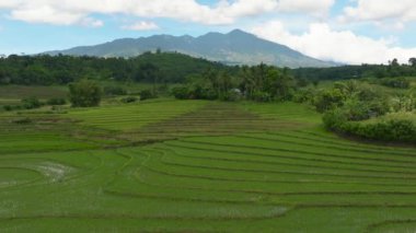 Aerial view of Mountain landscape with green hills and farmland. Negros, Philippines