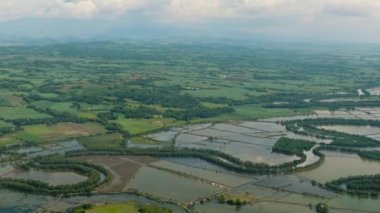 Tarlaları ve pirinç tarlaları olan kırsal manzaralı bir yer. Hinigaran Nehri. Zenciler, Filipinler