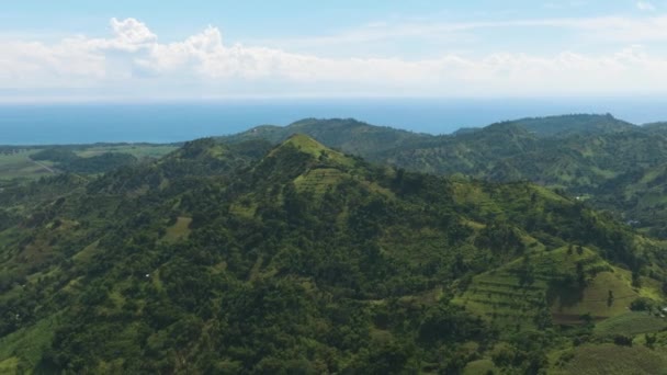 森林のある山々を有する熱帯の風景 ネグロス フィリピン — ストック動画