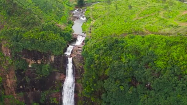 加泰莫瀑布的空中无人机落在茶园中 茶园景观 Maskeliya 斯里兰卡 — 图库视频影像
