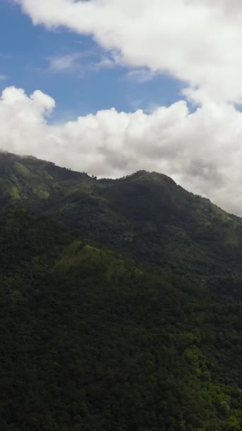 Aerial View Tropical Mountain Range Mountain Slopes Rainforest Sri Lanka — 비디오