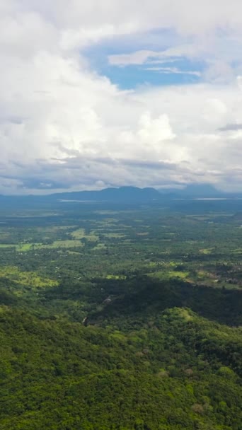 Горы Зеленым Лесом Горной Долиной Шри Ланке — стоковое видео