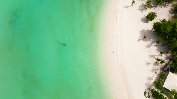 Blick Von Oben Auf Sandstrand Und Blaues Meer Einem Tropischen — Stockvideo
