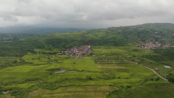 Drone Aereo Colline Con Piantagioni Kayu Aro Tenuta Sumatra Indonesia — Video Stock