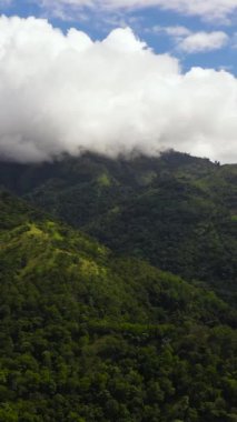 Tropikal yeşil ormanın dağlardaki ve orman tepelerindeki hava aracı. Sri Lanka.