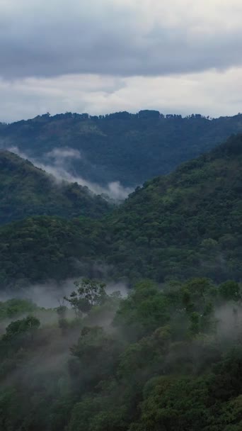 Góry Zielone Wzgórza Pokryte Mgłą Chmurami Sri Lance — Wideo stockowe