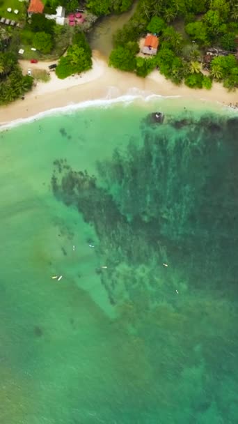 Aerial View Tropical Sandy Beach Blue Sea Hiriketiya Sri Lanka — Stockvideo