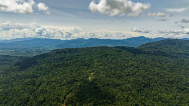 Tropikal dağ sıralarının ve yağmur ormanlarıyla kaplı dağ yamaçlarının havadan görünüşü. Borneo, Malezya.