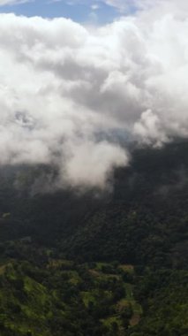 Sri Lanka 'da orman ve dağlar. Tropikal bitki örtüsü olan dağ yamaçları.