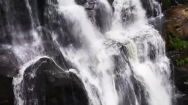 Tropikal St. Clair Şelaleleri dağ ormanlarında, Sri Lanka.