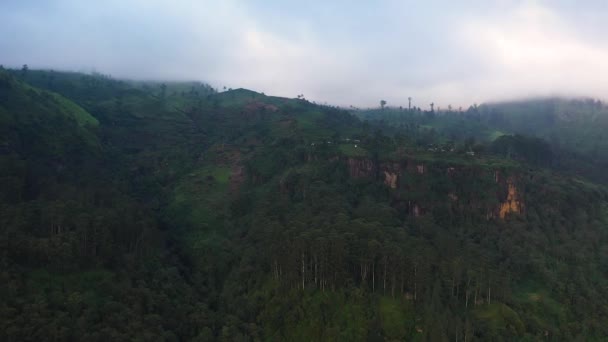 Gunung Dengan Hutan Hujan Dan Hutan Dan Perkebunan Teh Saat — Stok Video
