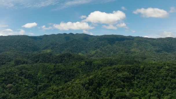 Dron Aéreo Montañas Colinas Con Vegetación Verde Árboles Los Trópicos — Vídeo de stock