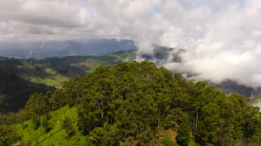 Dağlardaki çay tarlaları arasında çiftçi köyü. Dambatenne, Sri Lanka.