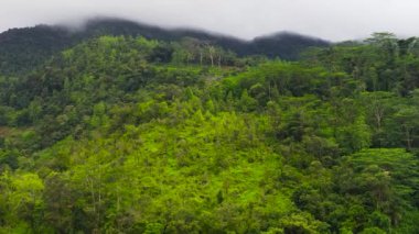 Sri Lanka 'nın dağlık bir bölgesinde yağmur ormanları ve tarım arazisi olan dağlar.