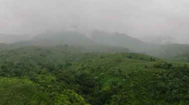 Dağlarda sis ve bulutlar olan tropik orman ve orman. Sumatra, Endonezya.