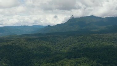 Dağları ve ormanı olan tropik bir yer. Borneo, Malezya.