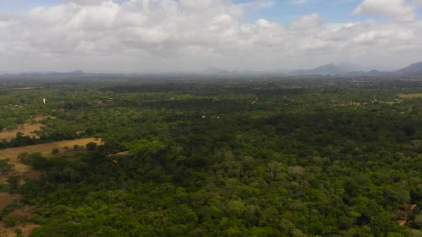 Αεροφωτογραφία Της Αεροφωτογραφία Της Κοιλάδας Του Βουνού Καλλιεργήσιμη Σιγκιρίγια Σρι — Αρχείο Βίντεο