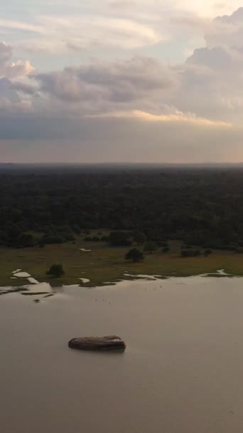 Вид Воздуха Закат Над Озером Национальном Парке Шри Ланка — стоковое видео