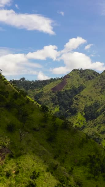 위에서 식물과 언덕의 슬로프 스리랑카의 — 비디오