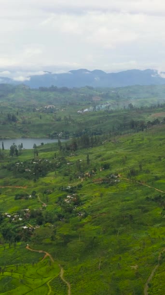 Aerial View Lake Mountainous Area Tea Plantations Maskeliya Castlereigh Sri — Stok video