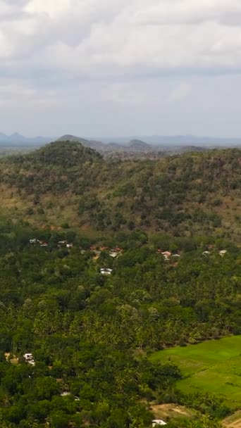 Вид Сверху Культурные Земли Зелеными Насаждениями Сельской Местности Шри Ланка — стоковое видео