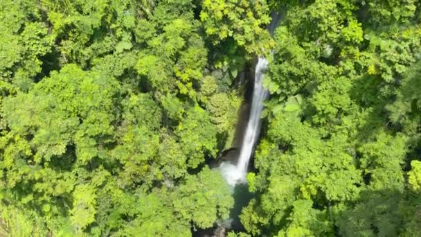 绿林中的瀑布 卡萨罗罗瀑布在丛林里Negros 菲律宾 — 图库视频影像