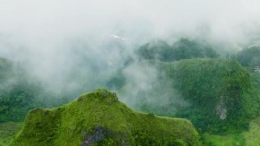 Dağların yamaçları ve sisin içindeki tepeler. Osmena Tepesi. Dağ manzarası. Cebu Filipinleri.